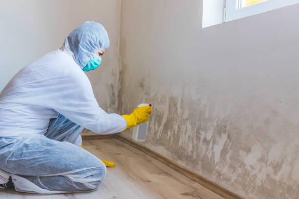 Bathroom Mold Removal assessment in Farmville bathroom
