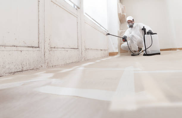 Black mold remediation team in Farmville